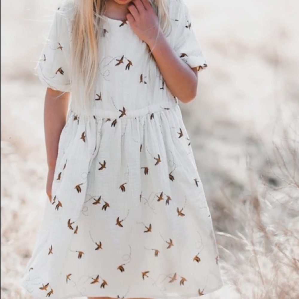 Rylee & Cru Sparrow Kat Dress from Anthropologie